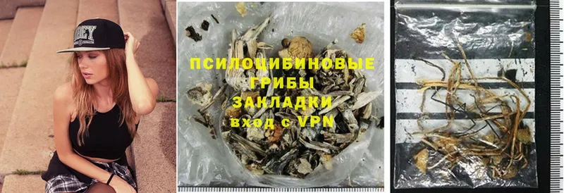 OMG ссылки  Липки  Псилоцибиновые грибы Magic Shrooms 